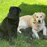 Lisa Und Emely * 皮森多夫